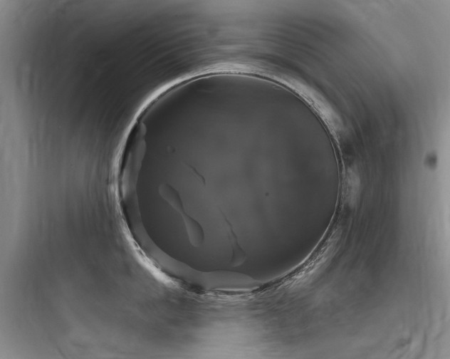 X0000097990862200803241340