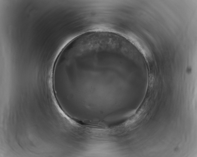 X0000097990863200803241340