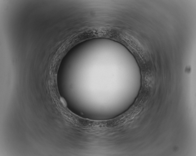 X0000097990865200803241339