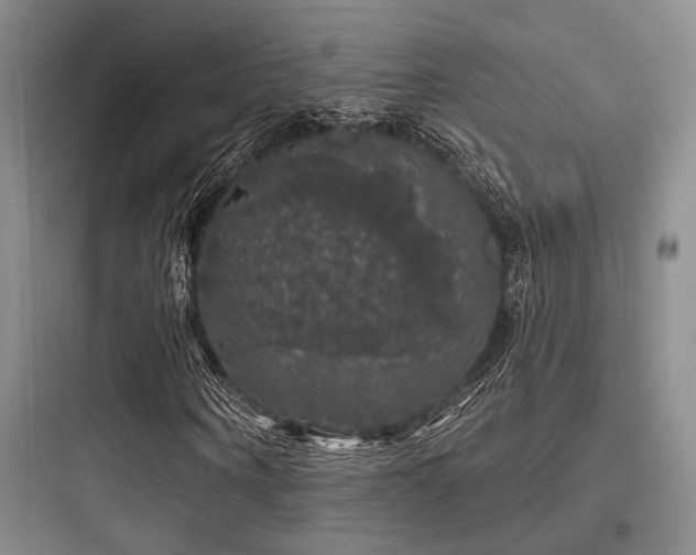 X0000097990866200803241339