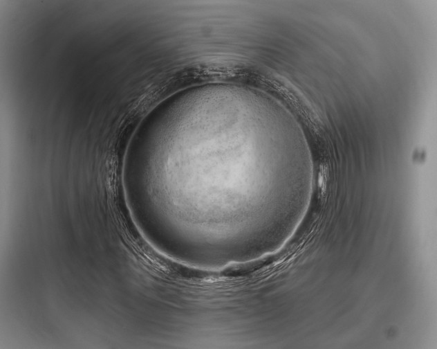 X0000097990867200803241339