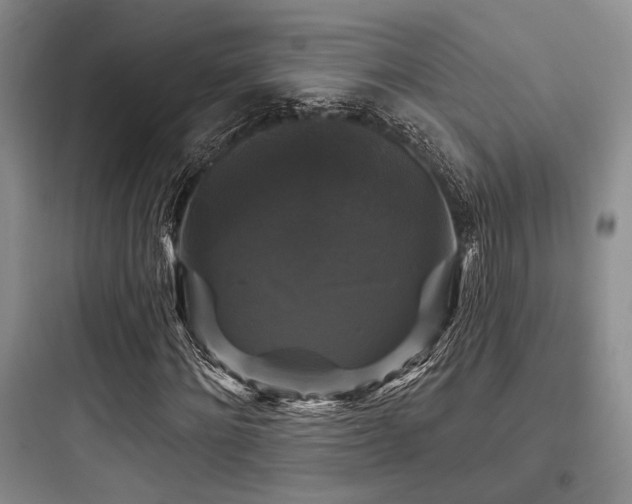 X0000097990868200803241339