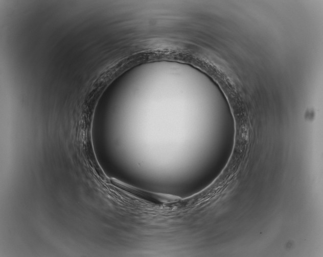 X0000097990869200803241339
