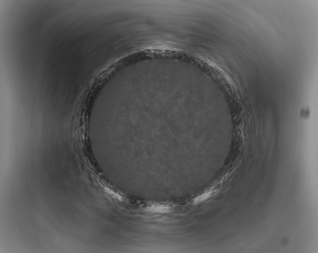 X0000097990870200803241339