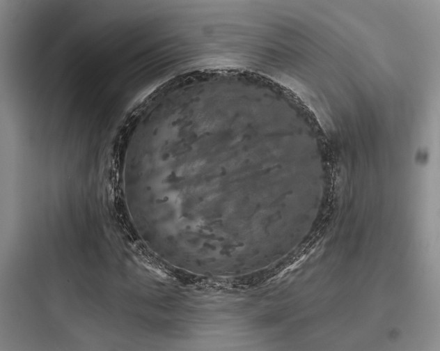 X0000097990871200803241339