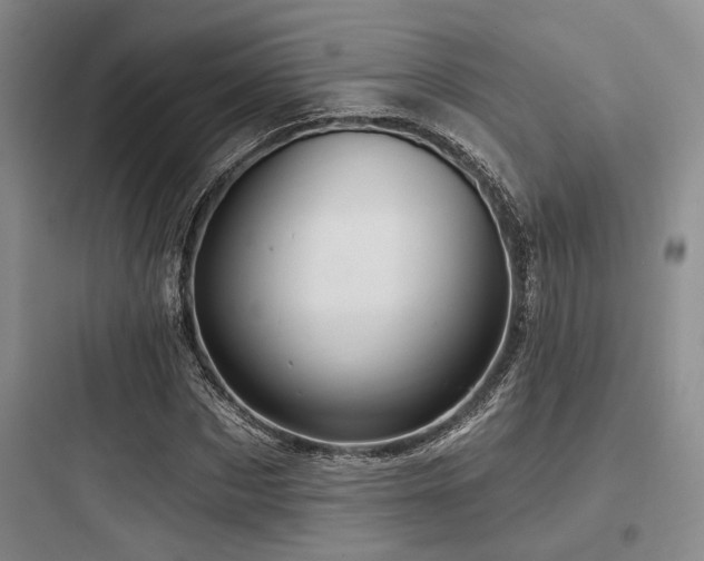 X0000097990873200803241339