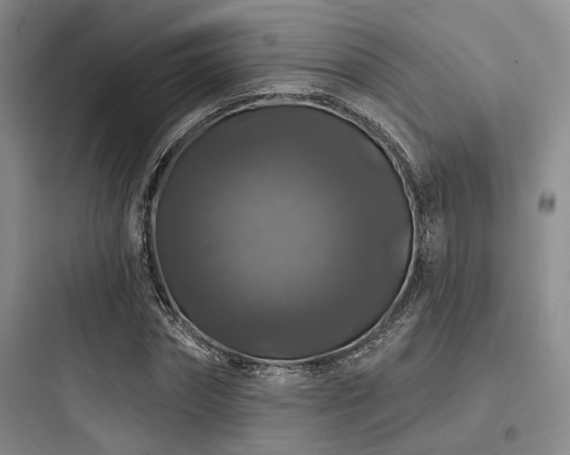 X0000097990874200803241339