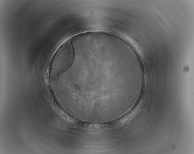 X0000097990875200803241339