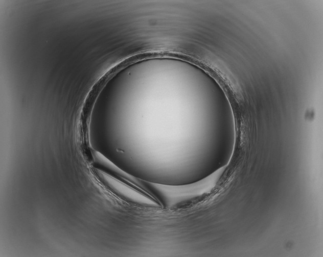 X0000097990876200803241339