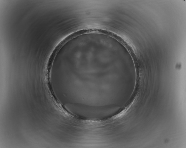 X0000097990879200803241339