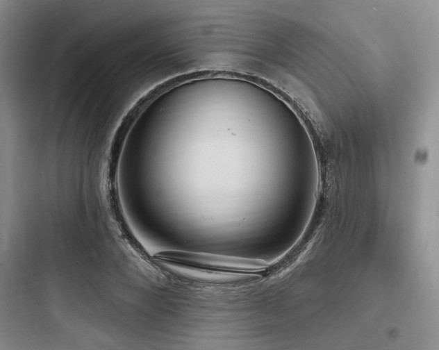 X0000097990880200803241339