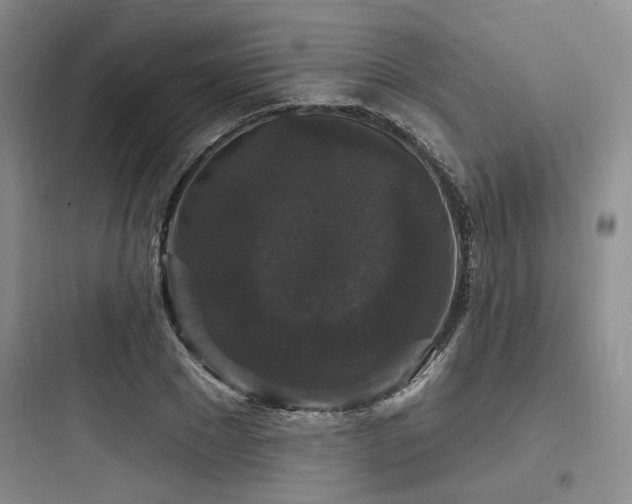 X0000097990881200803241339