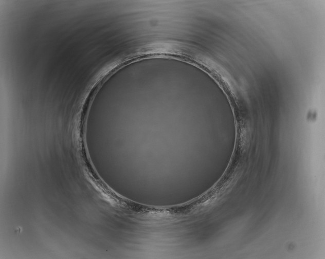 X0000097990882200803241339