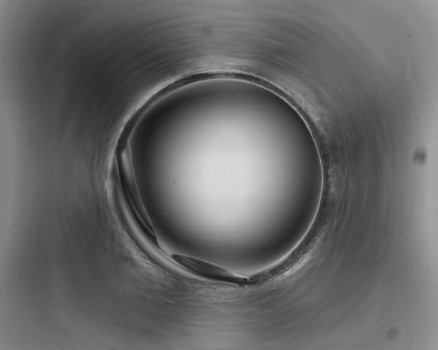 X0000097990885200803241339
