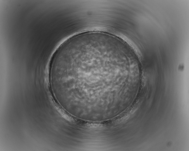 X0000097990886200803241339