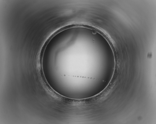 X0000097990887200803241339