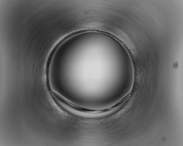 X0000097990888200803241339