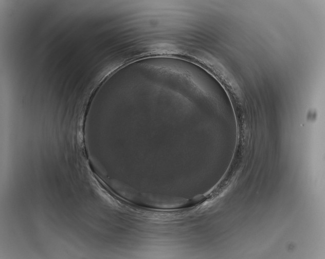 X0000097990889200803241339