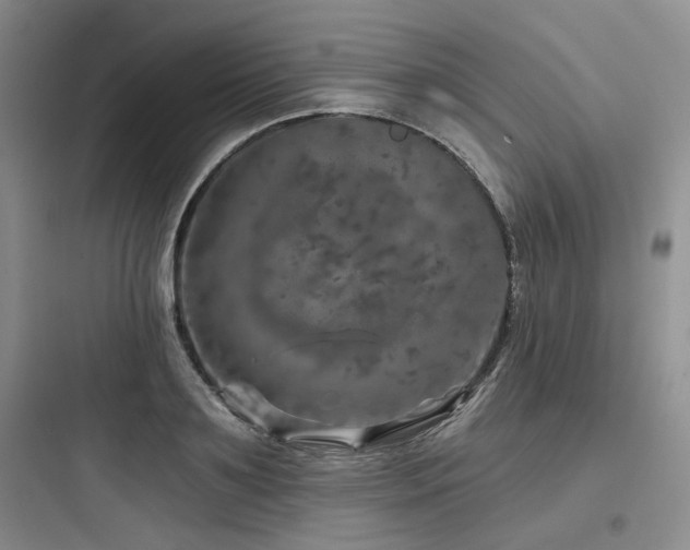 X0000097990891200803241339