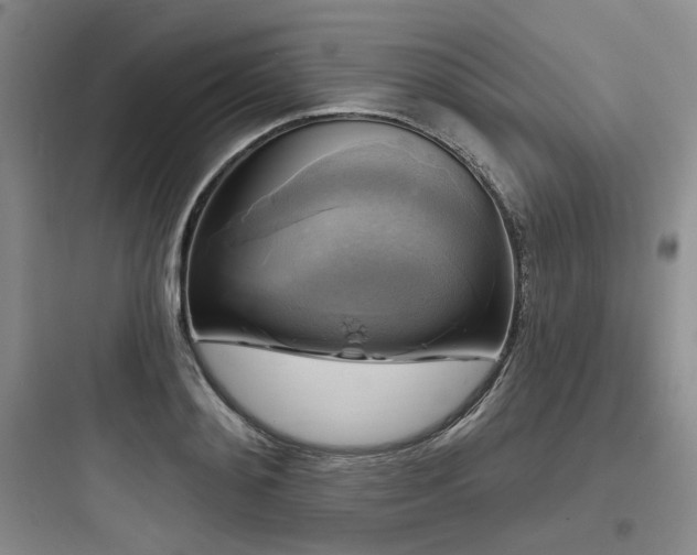 X0000097990892200803241339