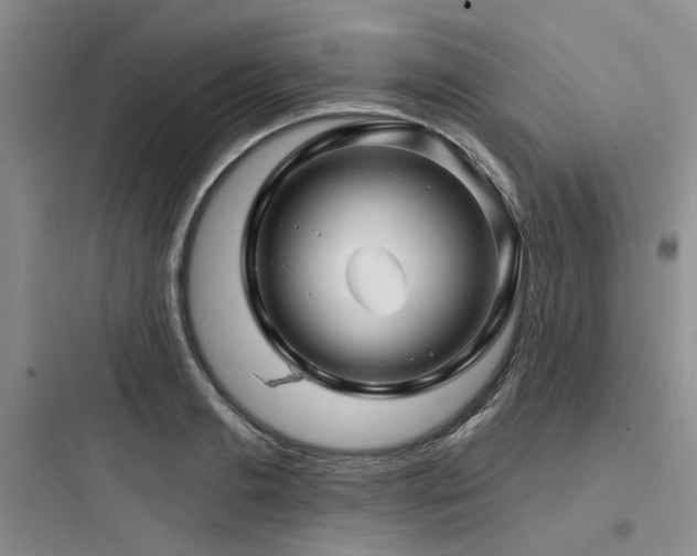 X0000097990893200803241339