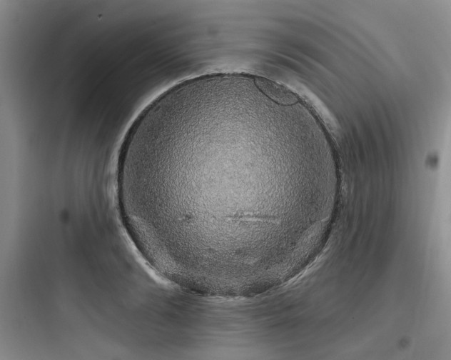 X0000097990894200803241339
