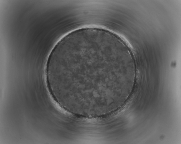 X0000097990895200803241339