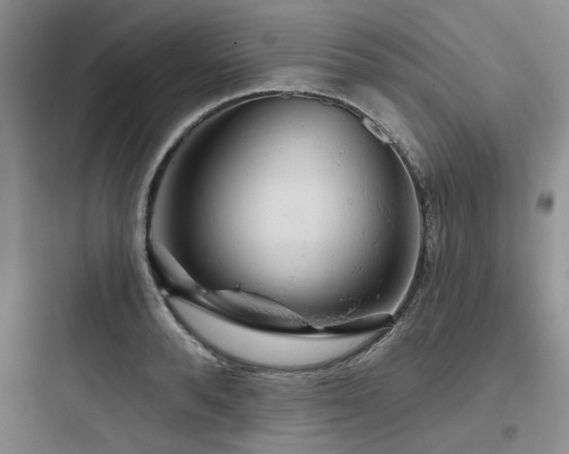 X0000097990896200803241339