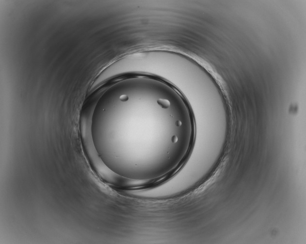 X0000097990897200803241339