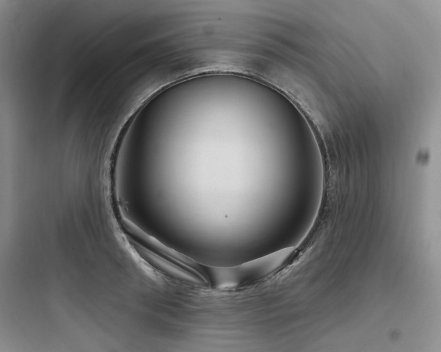 X0000097990898200803241339