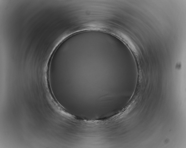 X0000097990899200803241338