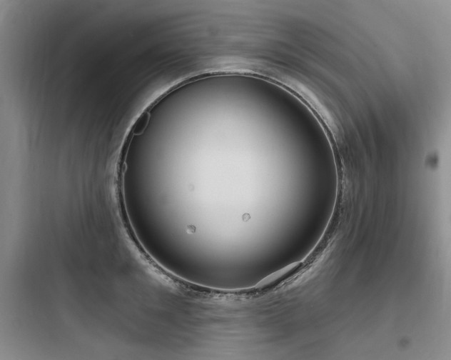 X0000097990901200803241338