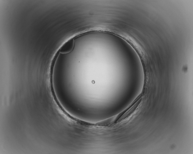 X0000097990902200803241338