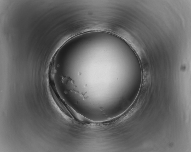 X0000097990906200803241338