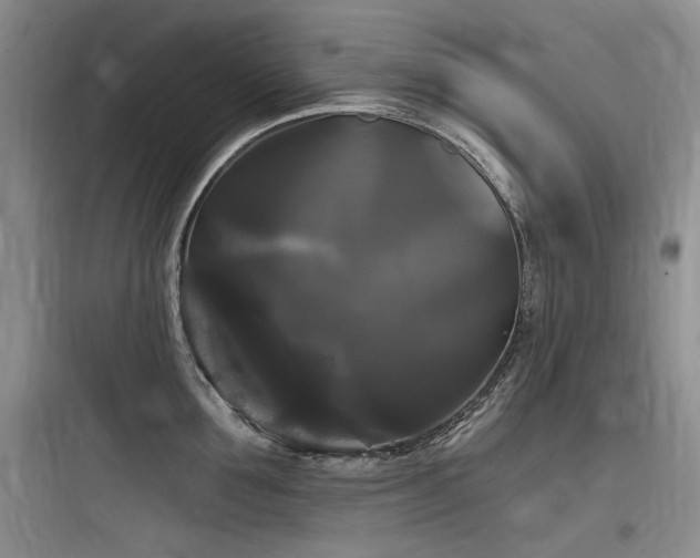 X0000097990907200803241338