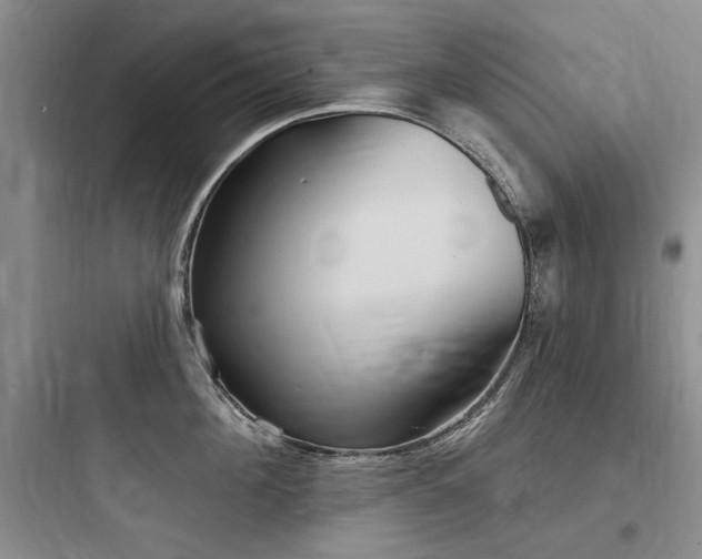 X0000097990908200803241338