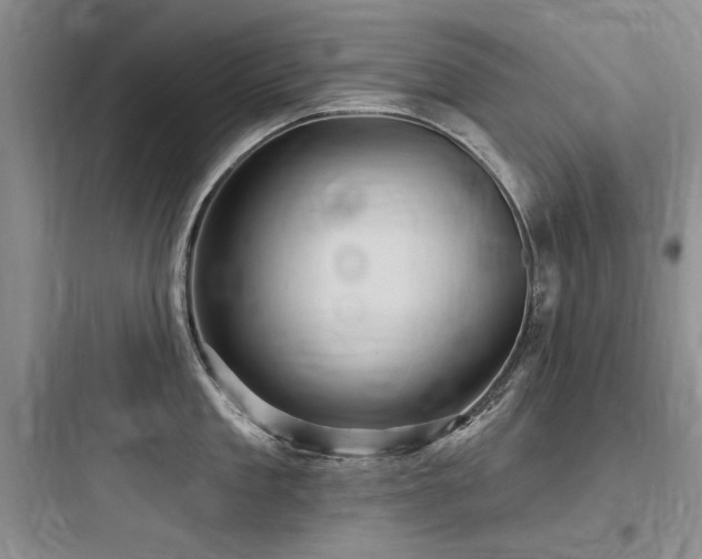 X0000097990909200803241338