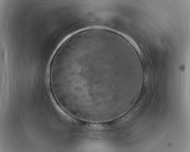 X0000097990911200803241338