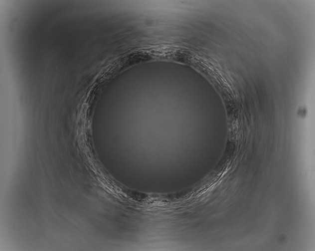 X0000097990913200803241338