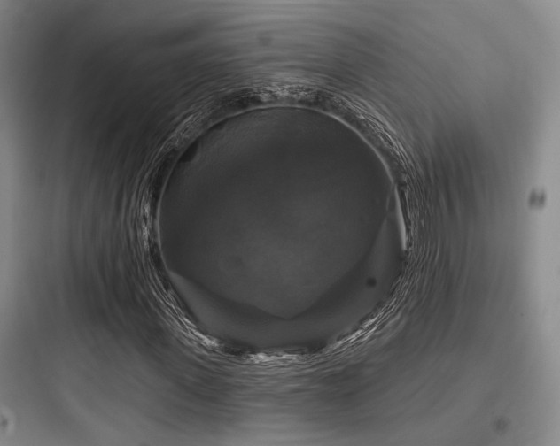 X0000097990915200803241338
