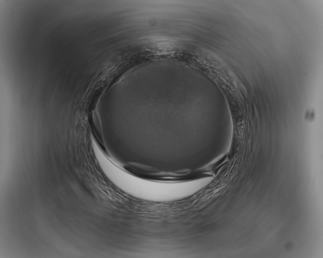 X0000097990916200803241338
