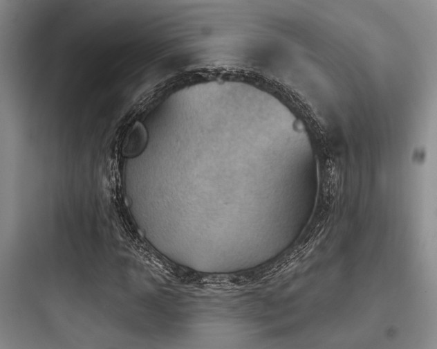 X0000097990918200803241338