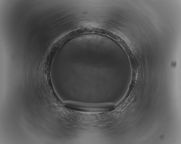 X0000097990919200803241338