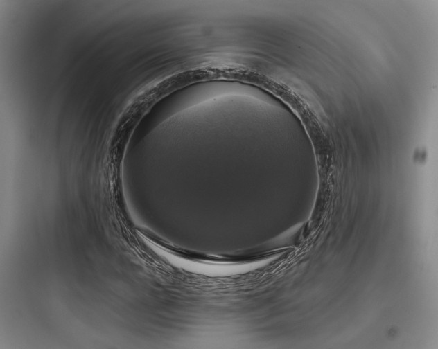 X0000097990920200803241338