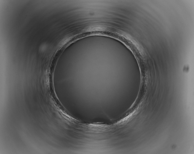 X0000097990921200803241338
