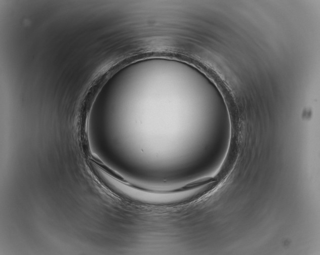 X0000097990922200803241338