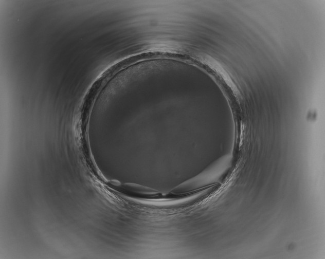X0000097990923200803241338