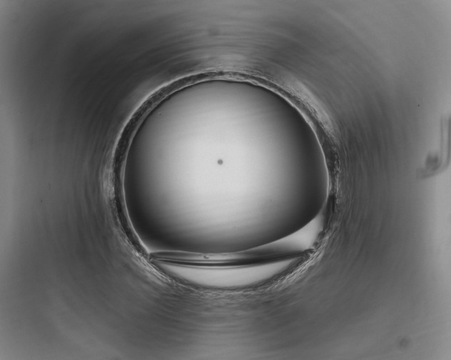 X0000097990924200803241338