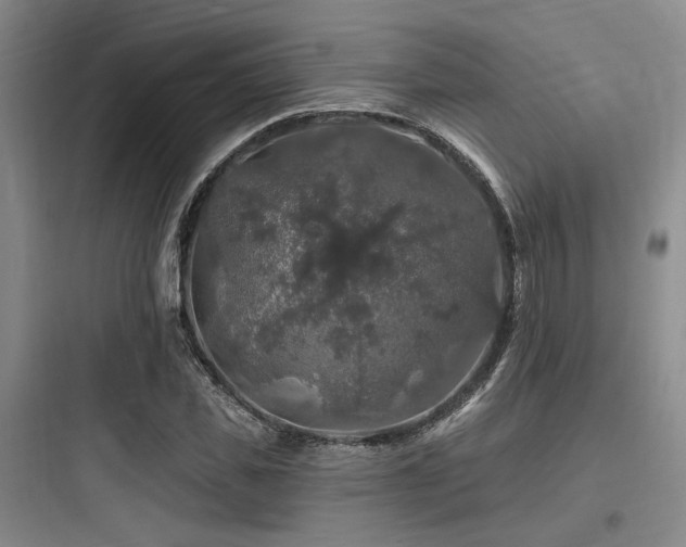 X0000097990925200803241338