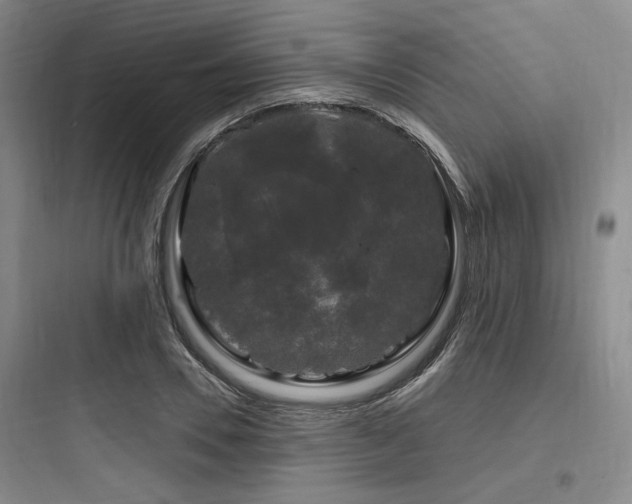 X0000097990930200803241338